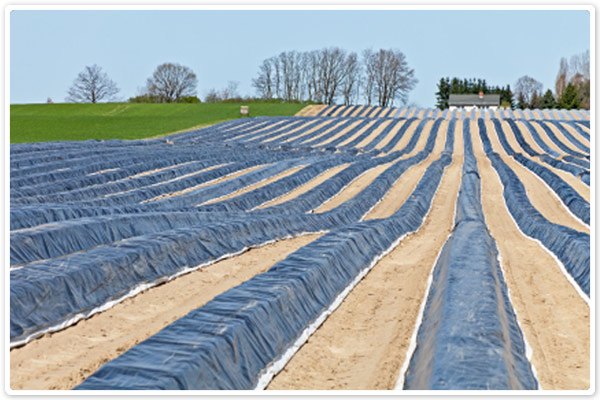 Uses for Tarps - Farming 2